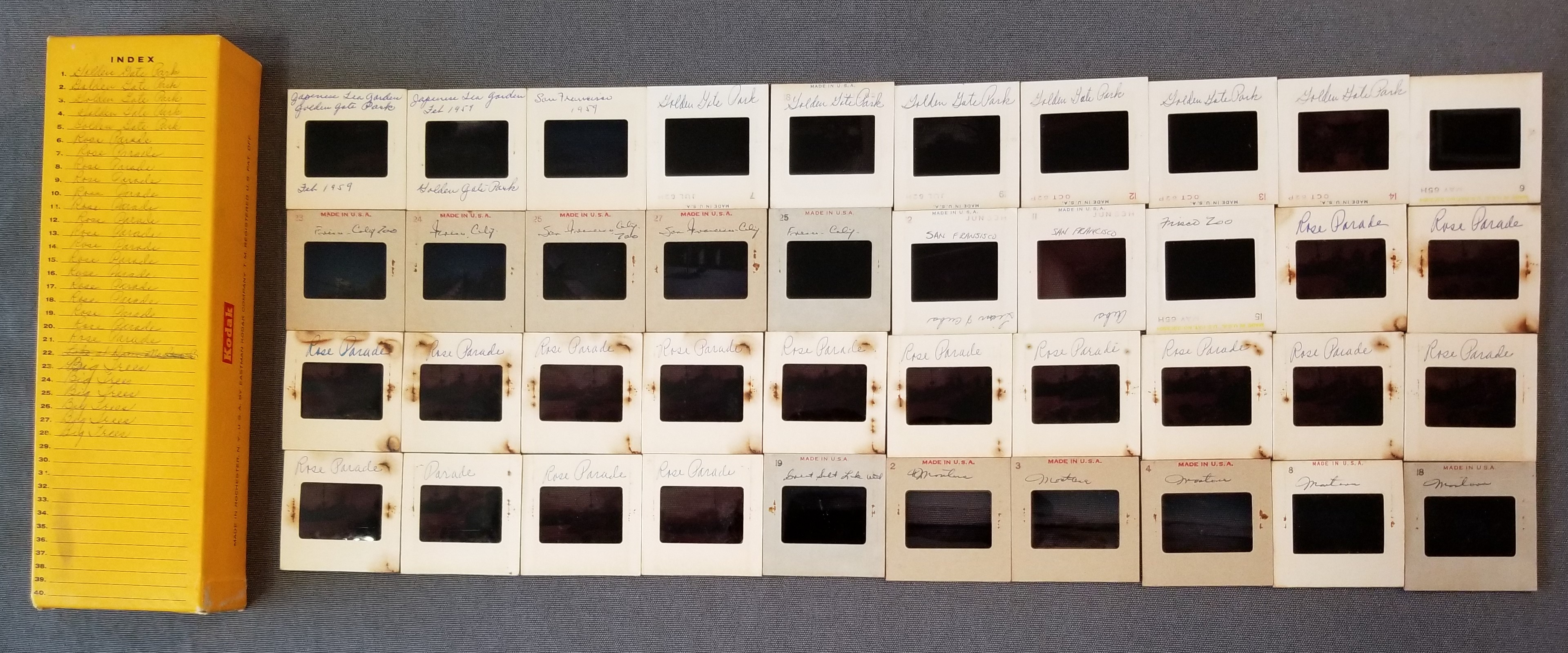 Pope Family Albums / Wilson Pope Family Slides / Golden Gate Park Rose Parade Slides Reginald Douglas Nellie Roan Wilson And William Ernest Virginia Wilson Pope